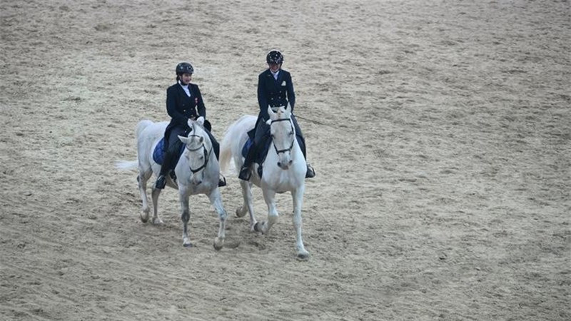 Đakovo and Lipik State Stud Farms awarded UNESCO charter
